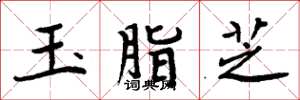周炳元玉脂芝楷書怎么寫