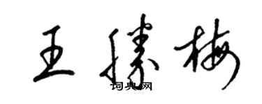 梁錦英王勝梅草書個性簽名怎么寫