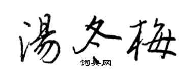王正良湯冬梅行書個性簽名怎么寫
