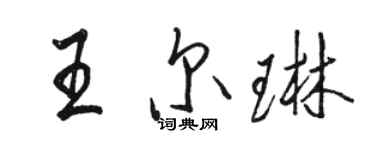 駱恆光王爾琳行書個性簽名怎么寫