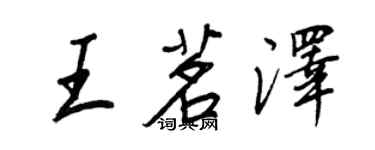 王正良王茗澤行書個性簽名怎么寫