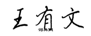 王正良王有文行書個性簽名怎么寫