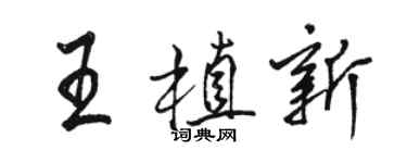 駱恆光王植新行書個性簽名怎么寫