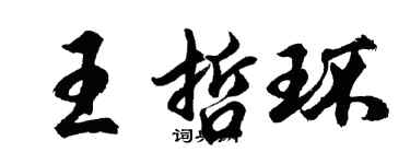 胡問遂王哲環行書個性簽名怎么寫