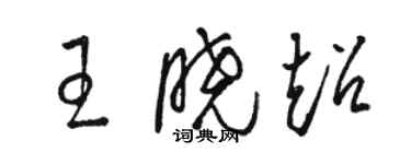 駱恆光王曉超草書個性簽名怎么寫