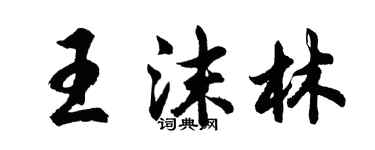 胡問遂王沫林行書個性簽名怎么寫