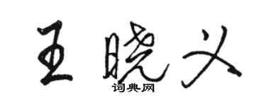 駱恆光王曉義行書個性簽名怎么寫