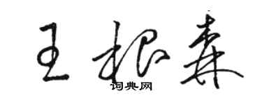 駱恆光王根森草書個性簽名怎么寫