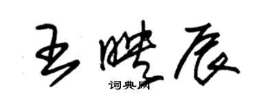 朱錫榮王映辰草書個性簽名怎么寫