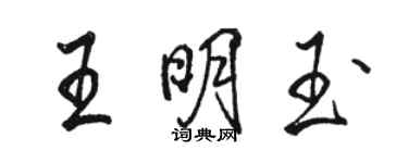 駱恆光王明玉行書個性簽名怎么寫