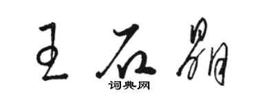 駱恆光王石晶草書個性簽名怎么寫