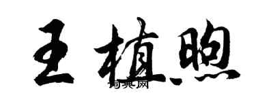 胡問遂王植煦行書個性簽名怎么寫