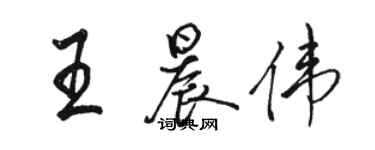 駱恆光王晨偉行書個性簽名怎么寫