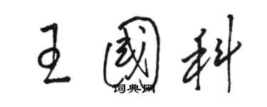 駱恆光王國科草書個性簽名怎么寫