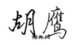 駱恆光胡鷹行書個性簽名怎么寫