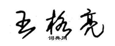 朱錫榮王格亮草書個性簽名怎么寫