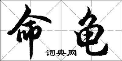 胡問遂命龜行書怎么寫