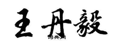 胡問遂王丹毅行書個性簽名怎么寫