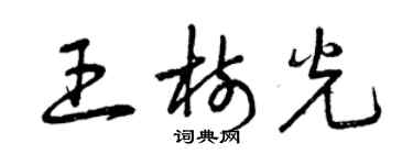 曾慶福王樹光草書個性簽名怎么寫