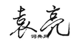 駱恆光袁亮行書個性簽名怎么寫