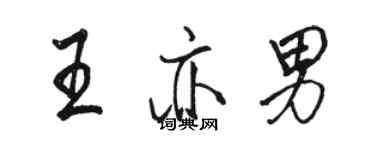 駱恆光王亦男行書個性簽名怎么寫