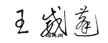 駱恆光王威蓬草書個性簽名怎么寫