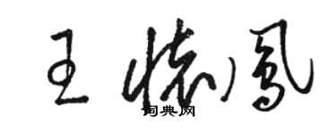 駱恆光王懷鳳草書個性簽名怎么寫
