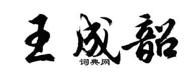 胡問遂王成韶行書個性簽名怎么寫
