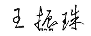 駱恆光王振珠草書個性簽名怎么寫