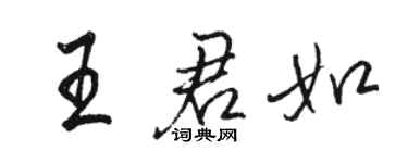 駱恆光王君如行書個性簽名怎么寫