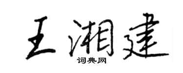 王正良王湘建行書個性簽名怎么寫