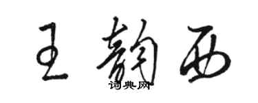 駱恆光王韻西草書個性簽名怎么寫