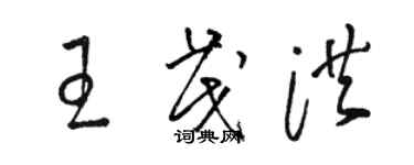 駱恆光王茂洪草書個性簽名怎么寫