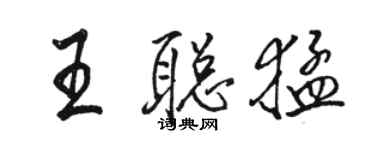 駱恆光王聰猛行書個性簽名怎么寫