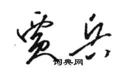 駱恆光賈兵草書個性簽名怎么寫