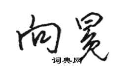 駱恆光向冕行書個性簽名怎么寫