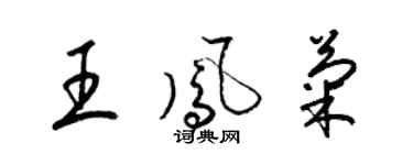 梁錦英王鳳菊草書個性簽名怎么寫