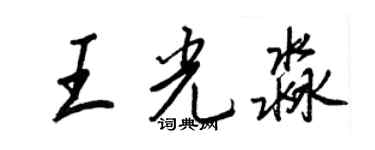 王正良王光淼行書個性簽名怎么寫