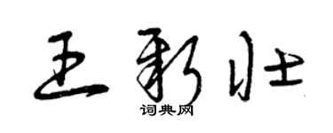 曾慶福王新壯草書個性簽名怎么寫