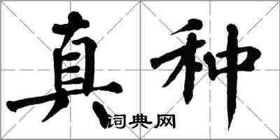 翁闓運真種楷書怎么寫