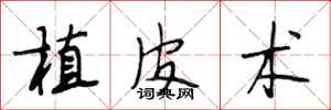 段相林植皮術行書怎么寫