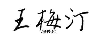 王正良王梅汀行書個性簽名怎么寫