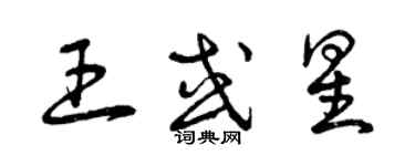 曾慶福王或星草書個性簽名怎么寫