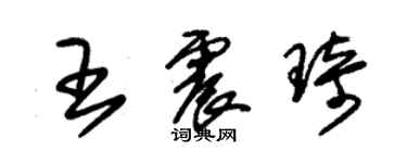 朱錫榮王震琦草書個性簽名怎么寫