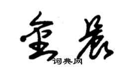 朱錫榮金晨草書個性簽名怎么寫