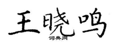 丁謙王曉鳴楷書個性簽名怎么寫