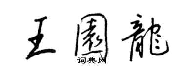 王正良王園龍行書個性簽名怎么寫