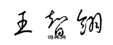 梁錦英王智翎草書個性簽名怎么寫