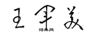 駱恆光王軍美草書個性簽名怎么寫