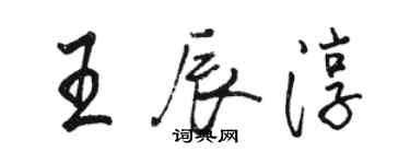 駱恆光王辰淳行書個性簽名怎么寫